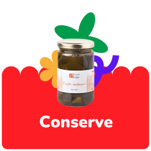 categoria-conserve.png
