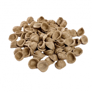 ORECCHIETTE DI GRANO ARSO DA 500 GR