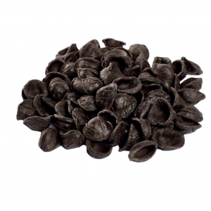 ORECCHIETTE AL NERO DI SEPPIA DA 500 GR