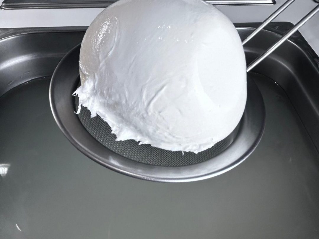 MOZZARELLA FIOR DI LATTE DA 300 GR