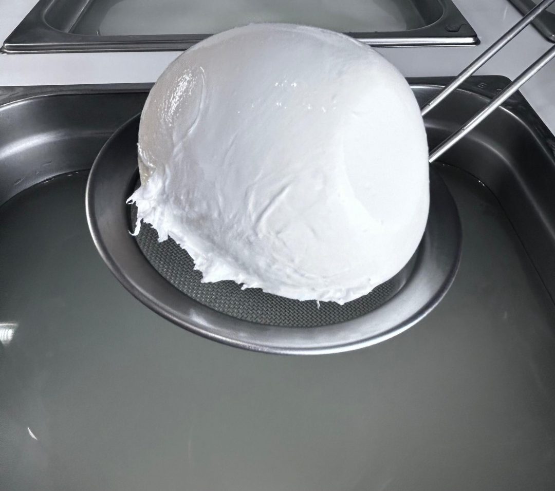MOZZARELLA FIOR DI LATTE DA 300 GR