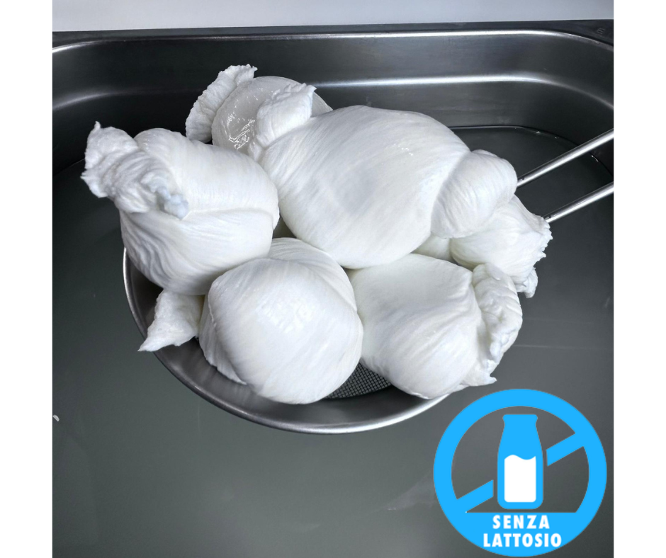 NODINI DI MOZZARELLA SENZA LATTOSIO DA 500 GR