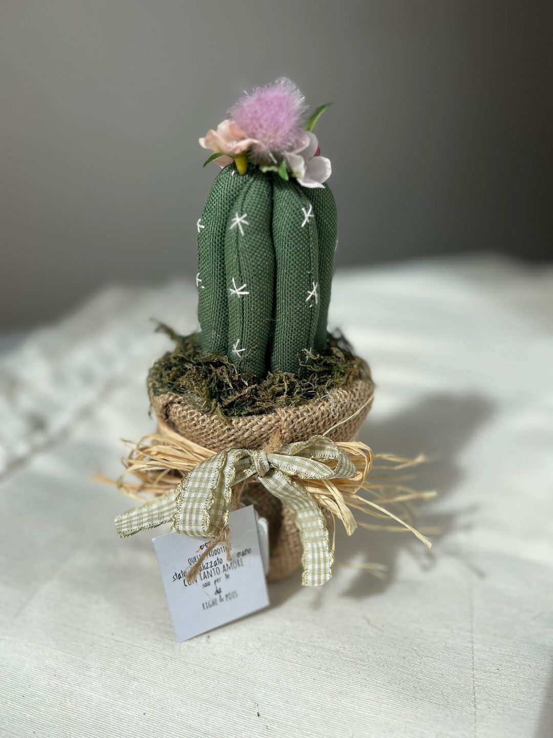 CACTUS MINI - immagine 3