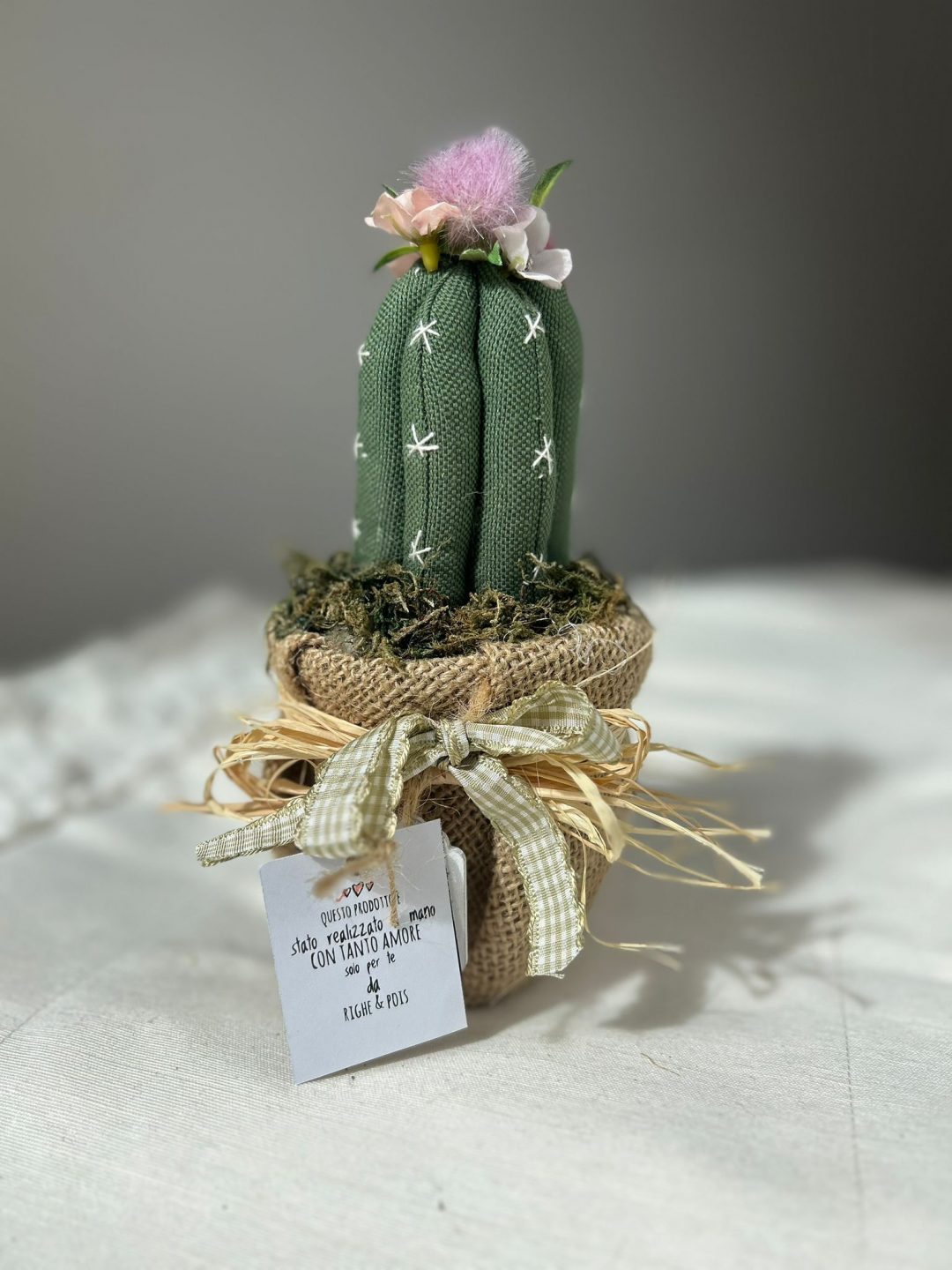 CACTUS MINI