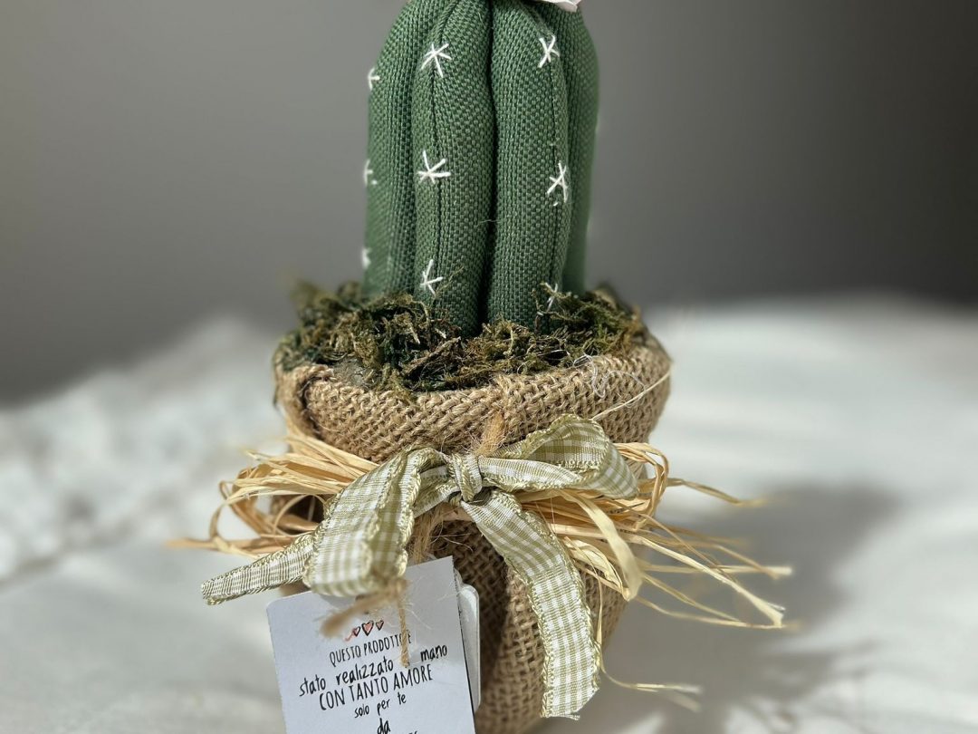 CACTUS MINI