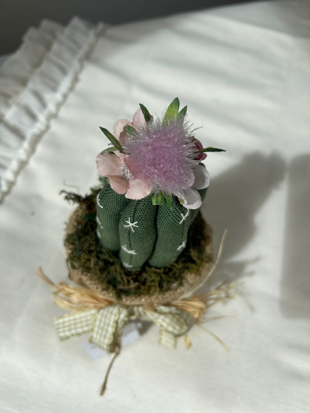 CACTUS MINI - immagine 4